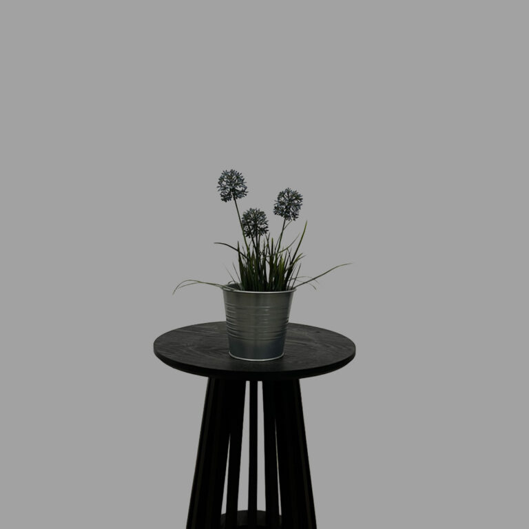Allum Purple Plant