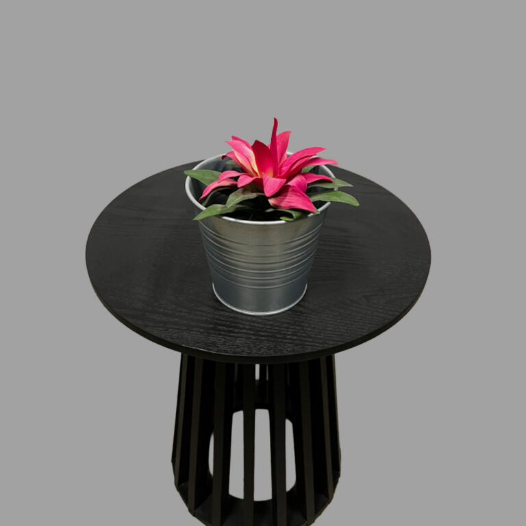 Guzmania Red