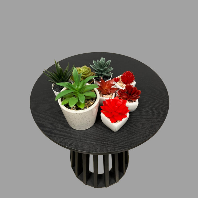 Micro Cacti