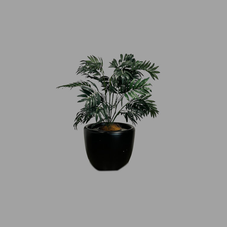Potted Palm Tree